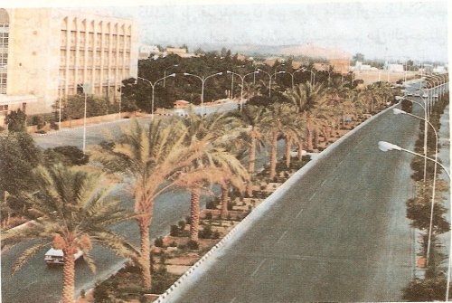 شارع ذو جزيرة وسطية مزروعة بالنخيل